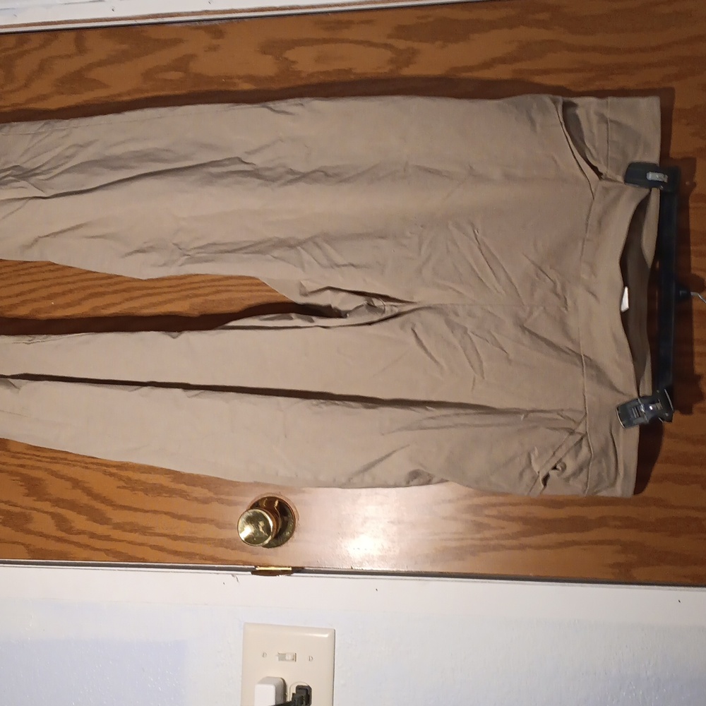 Terra & Sky Tummy Control Dress Pants